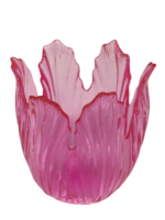 IMG_4243-removebg-preview