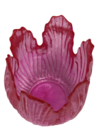 IMG_4244-removebg-preview