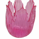 IMG_4245-removebg-preview