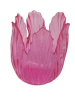 IMG_4245-removebg-preview