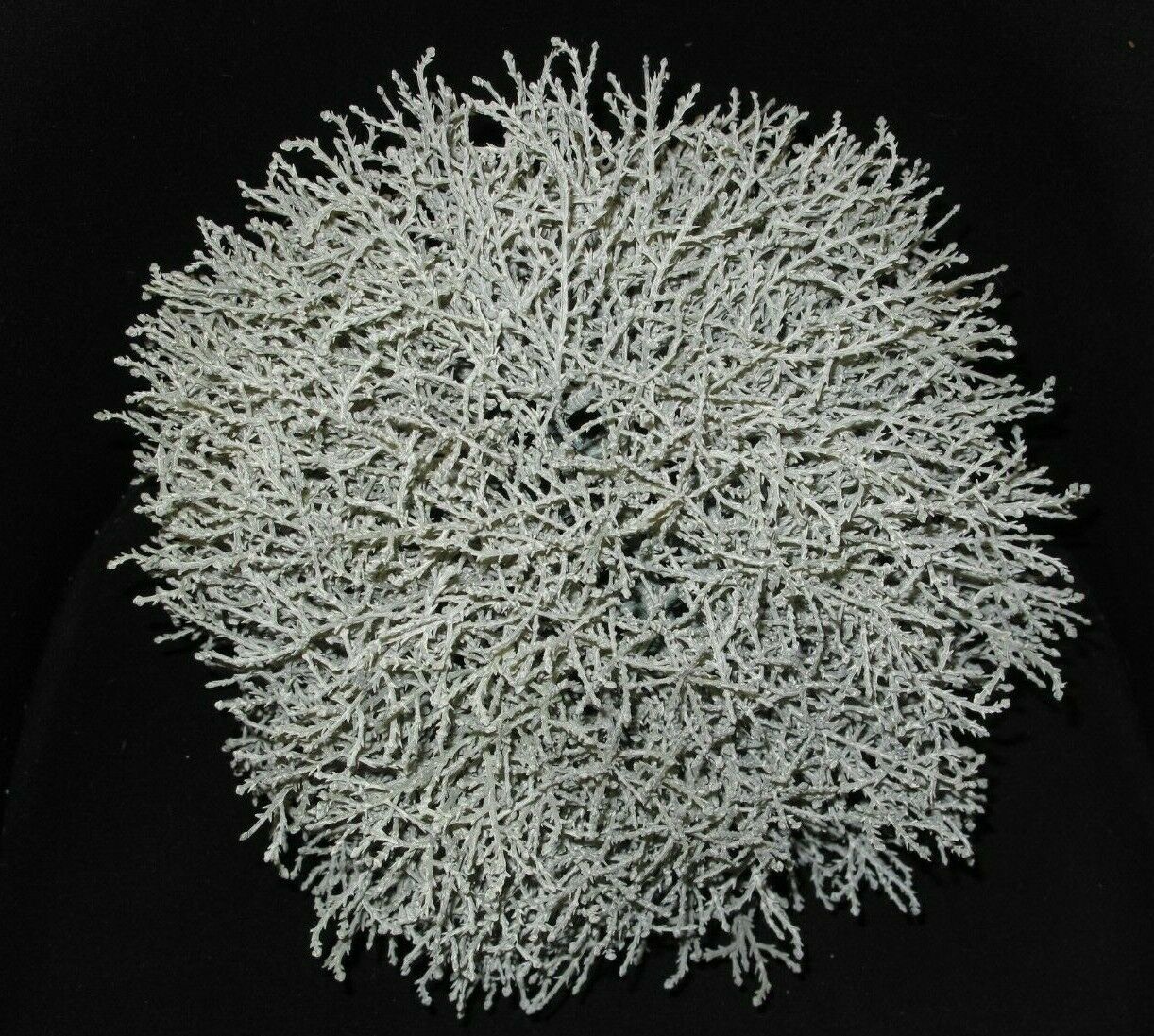 s-l1600 -1 s-l1600 (1)