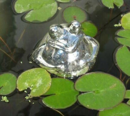 frosch85693.jpg