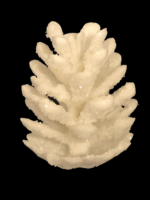 IMG_4149_-_Kopie-removebg-preview