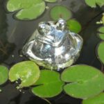 frosch85693.jpg