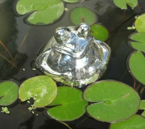 frosch85693-jpg frosch85693.jpg